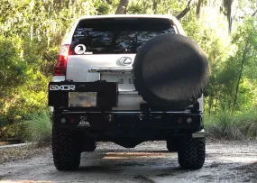 Dobinsons Rear Bumper With Swing Outs for Lexus GX460 and Prado 150 (BW80-4108)