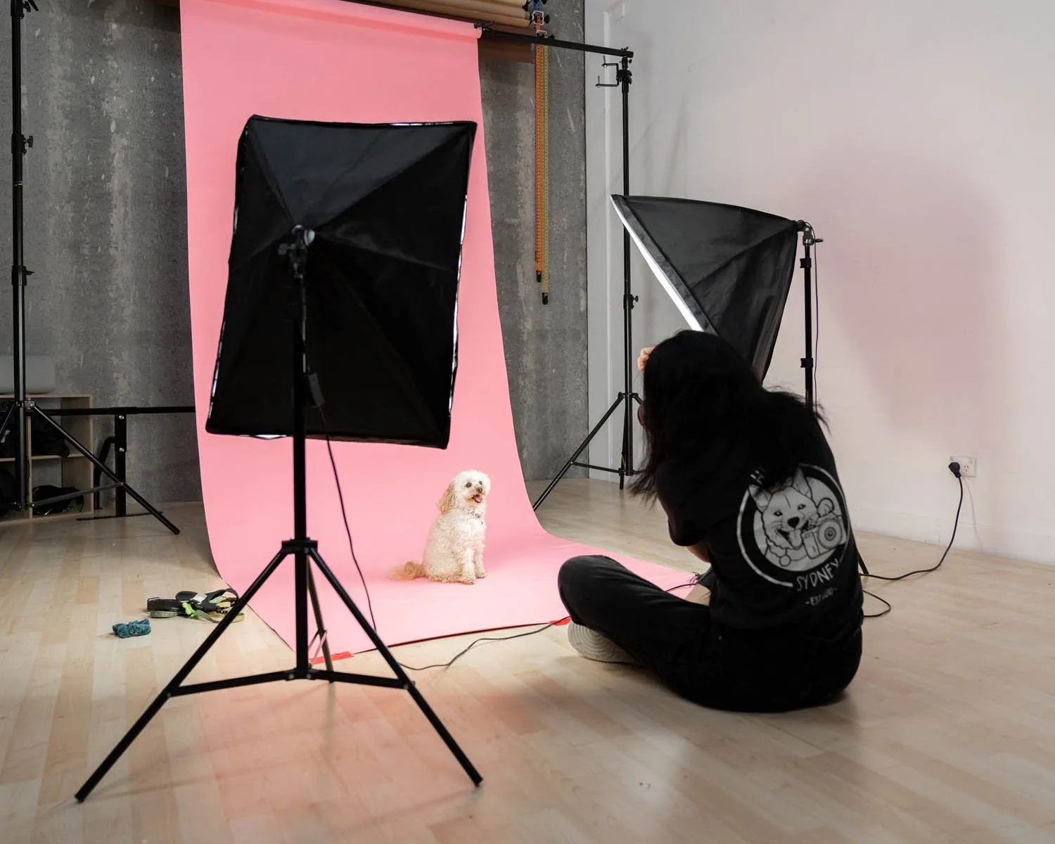 'Illuminate Mate' Double Rectangle Softbox Lighting Kit (50cm x 70cm)