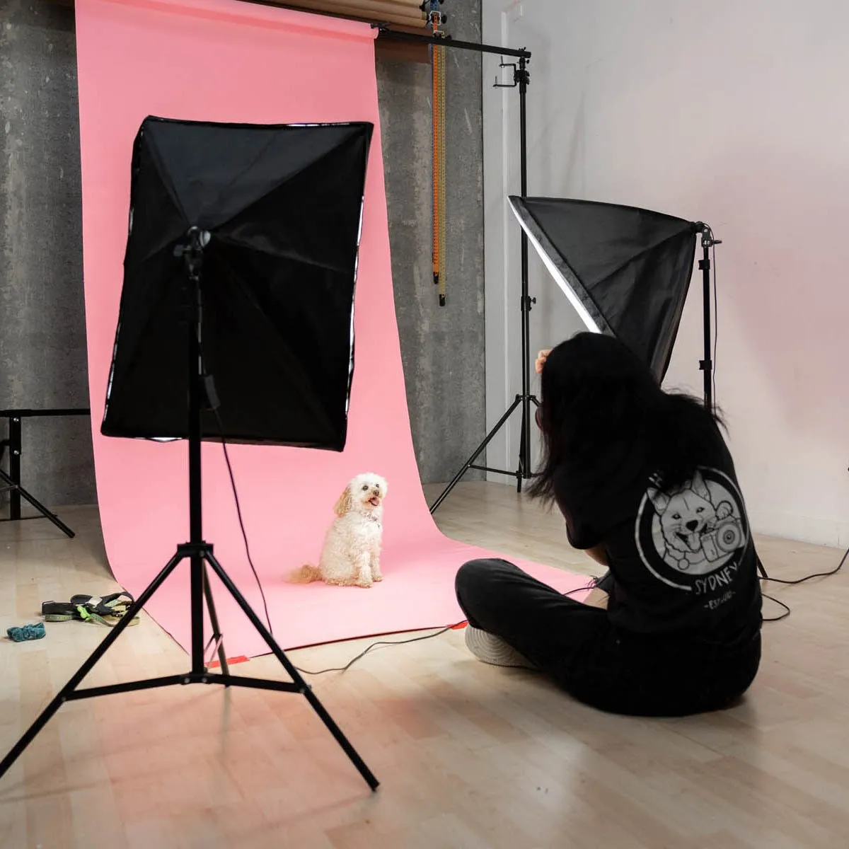 'Illuminate Mate' Double Rectangle Softbox Lighting Kit (50cm x 70cm)