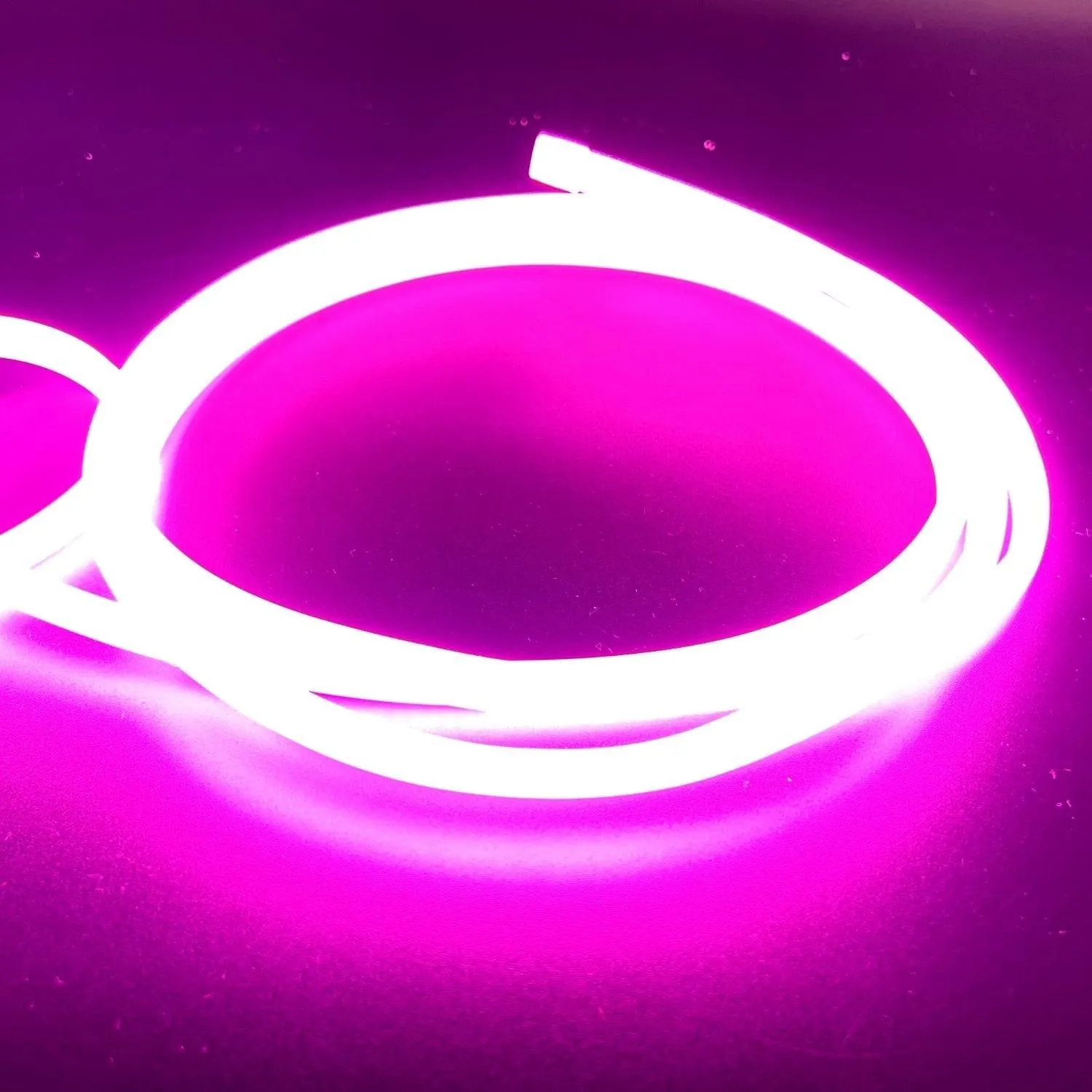 Pink COB LED Strip Light 220V 240V 288 LEDs/m IP65 with UK Plug