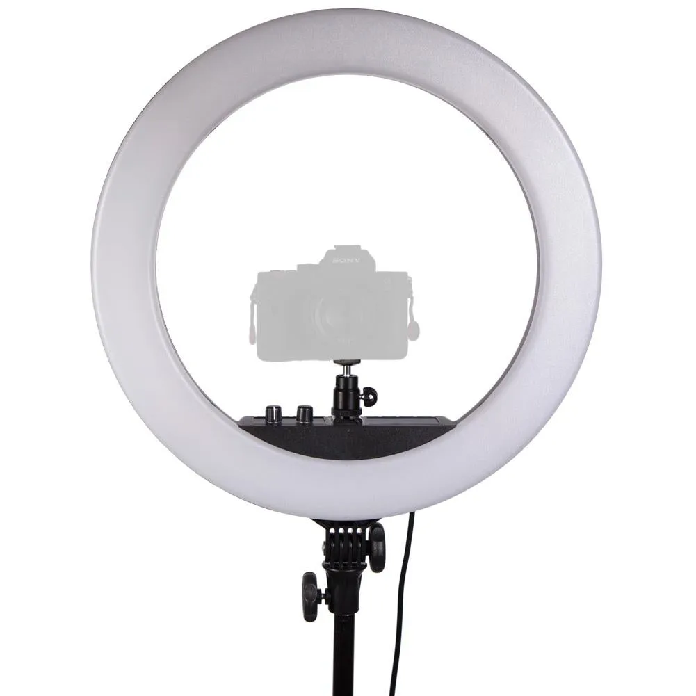 Portrait Headshot Lighting Kit With Pull Up White Backdrop & Ring Light - Bundle