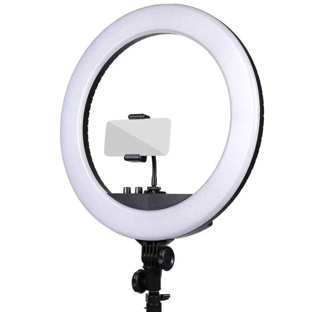 Portrait Headshot Lighting Kit With Pull Up White Backdrop & Ring Light - Bundle